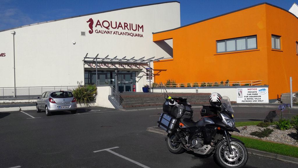  Atlantaquaria, National Aquarium of Ireland, Írsko - Bod záujmu