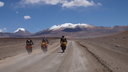 Vstup do Bolívie - Naživo: Chile - Bolivia - Argentína 2018