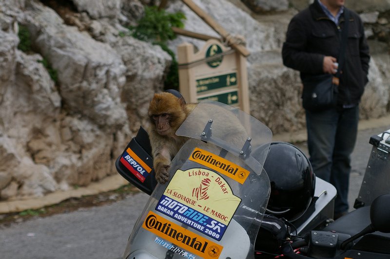 MDA 2008 - Gibraltar
