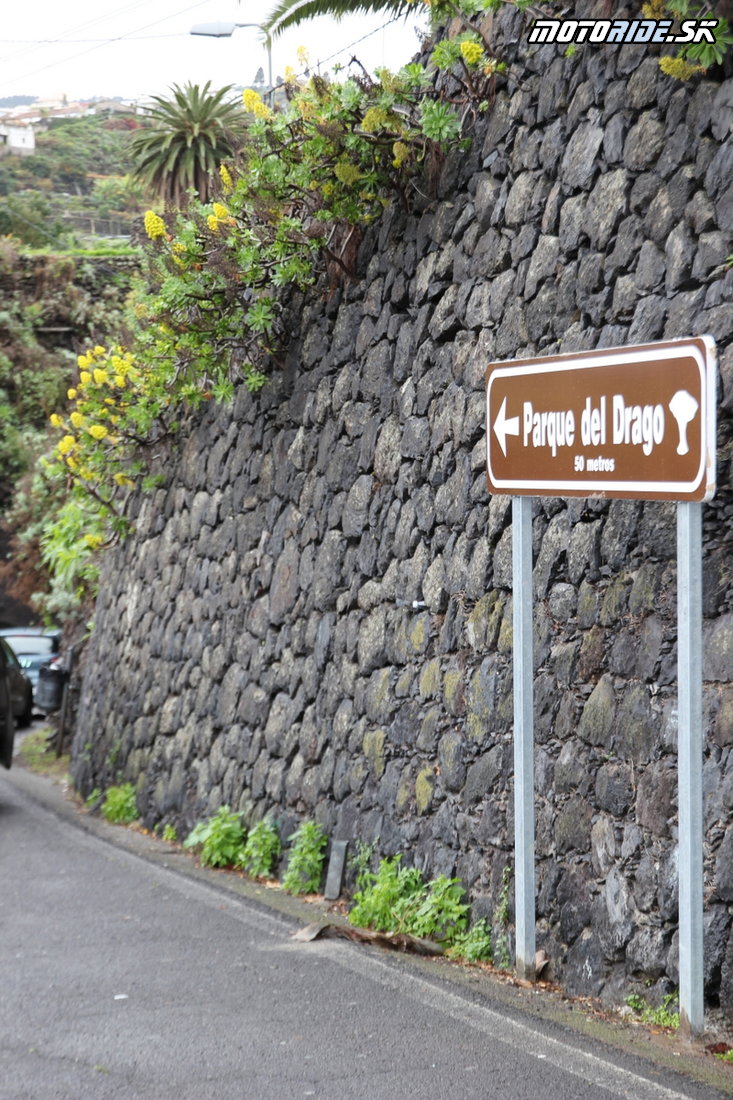 Dračí strom (3000 rokov) - Parque del Drago, Icod de Los Vinos, Tenerife - Bod záujmu