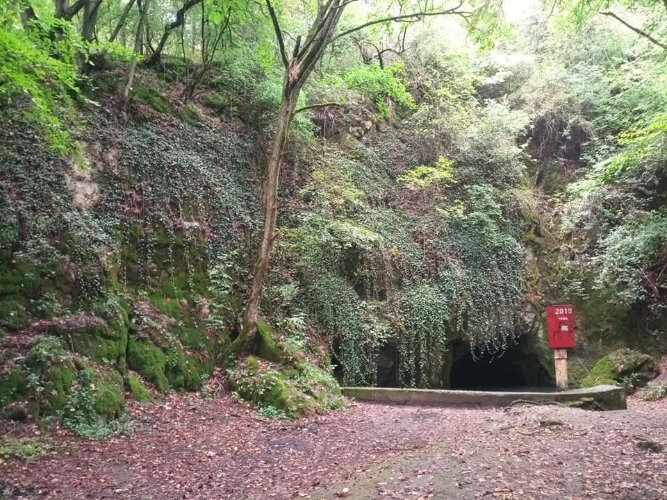 Drienovska jaskyna a kupele, Slovensko - Bod záujmu