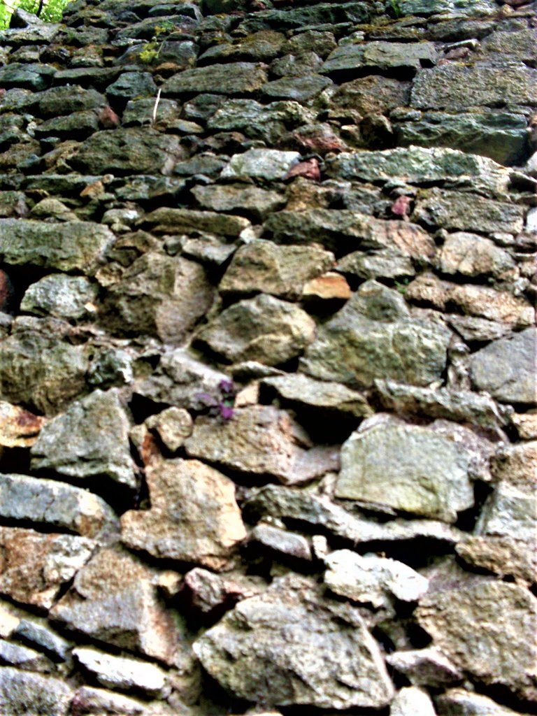 detail na kamene a kvetinky v múre, no nezaostrené