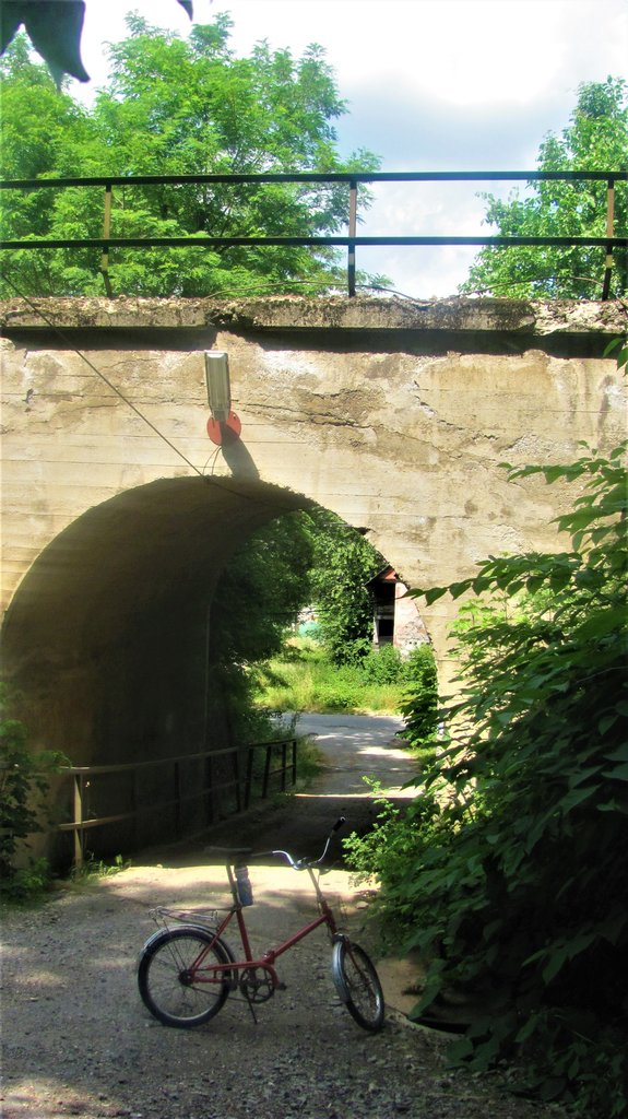 tunelík zo starej cesty na starú stanicu