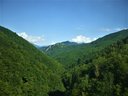 zalesnené hory Bosny a Hercegoviny (BiH)