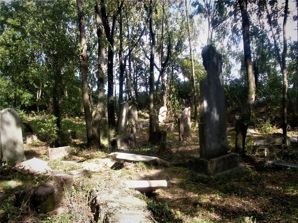 takmer zabudnutý židovský cintorín v lesíku pri parkovisku