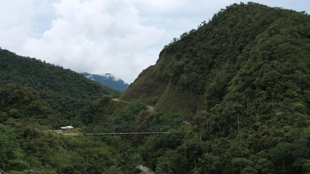 Džungľa, Peru