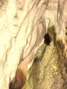 posledný spiaci netopier v jaskyni