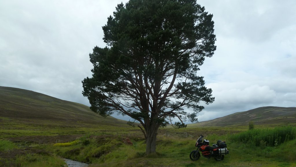 Cairngorms National Park1