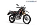 25YM Honda CRF300L