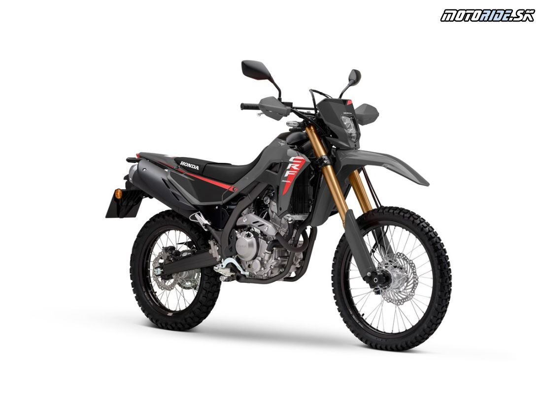 25YM Honda CRF300L