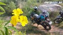 Návrat do Chennai, kopce, vidiek, trochu offroadu a návšteva farmy - Naživo: S Awiom do Indie 2024 - Royal Enfield trip