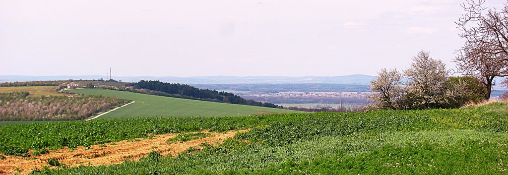 panoráma z návršia pri pretlakovej stanici plynu