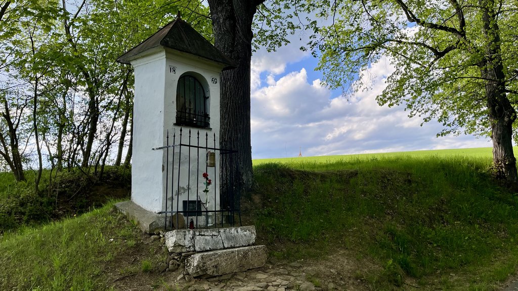 02.05.2025 16:56 - Levoča a Bardejov - príjemné prekvapenie