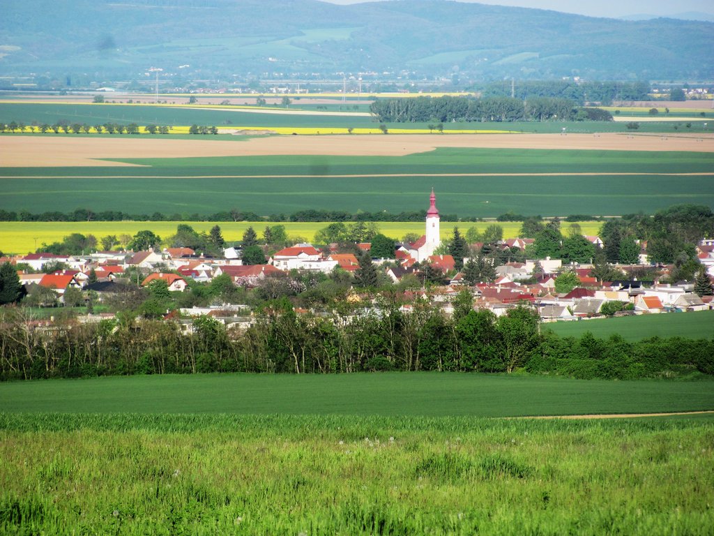 panoráma okolia veže III