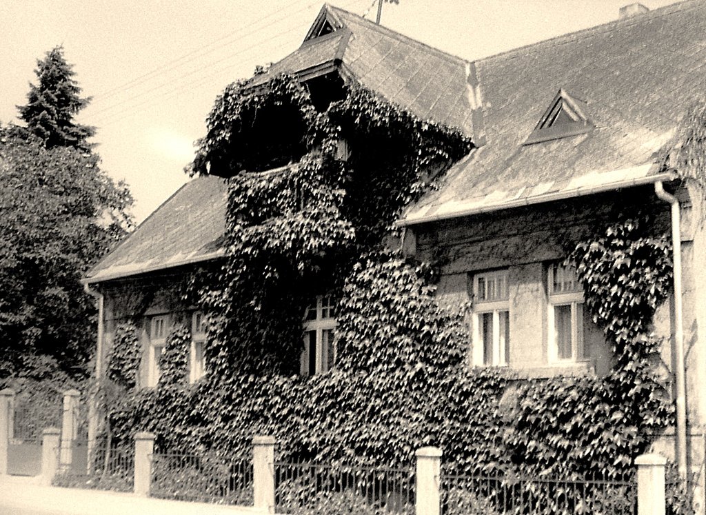 brečtanový dom pri modranskom kaštieli dávno