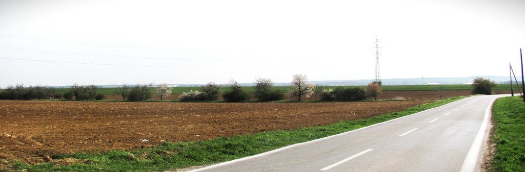teleso bývalej železničky je hranicou chotárov so starým čerešňovým sadom