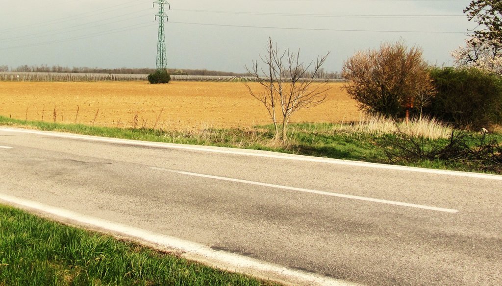 pred majerom Fajdál  na pravo kedysi odbočovala repná železnička Šenkvice-Fajdal-Silárd