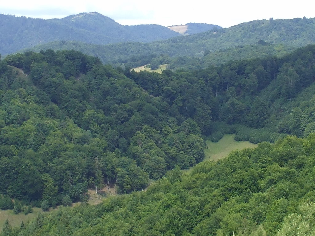 panoráma VIII