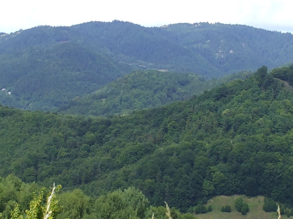 panoráma VII