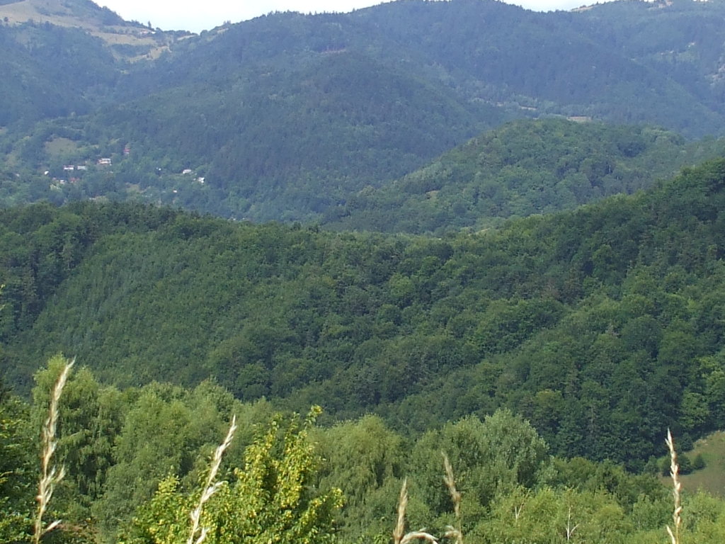 panoráma VI