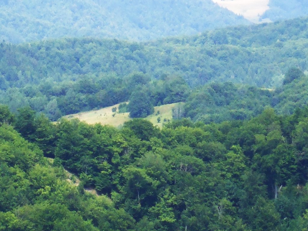 panoráma IV