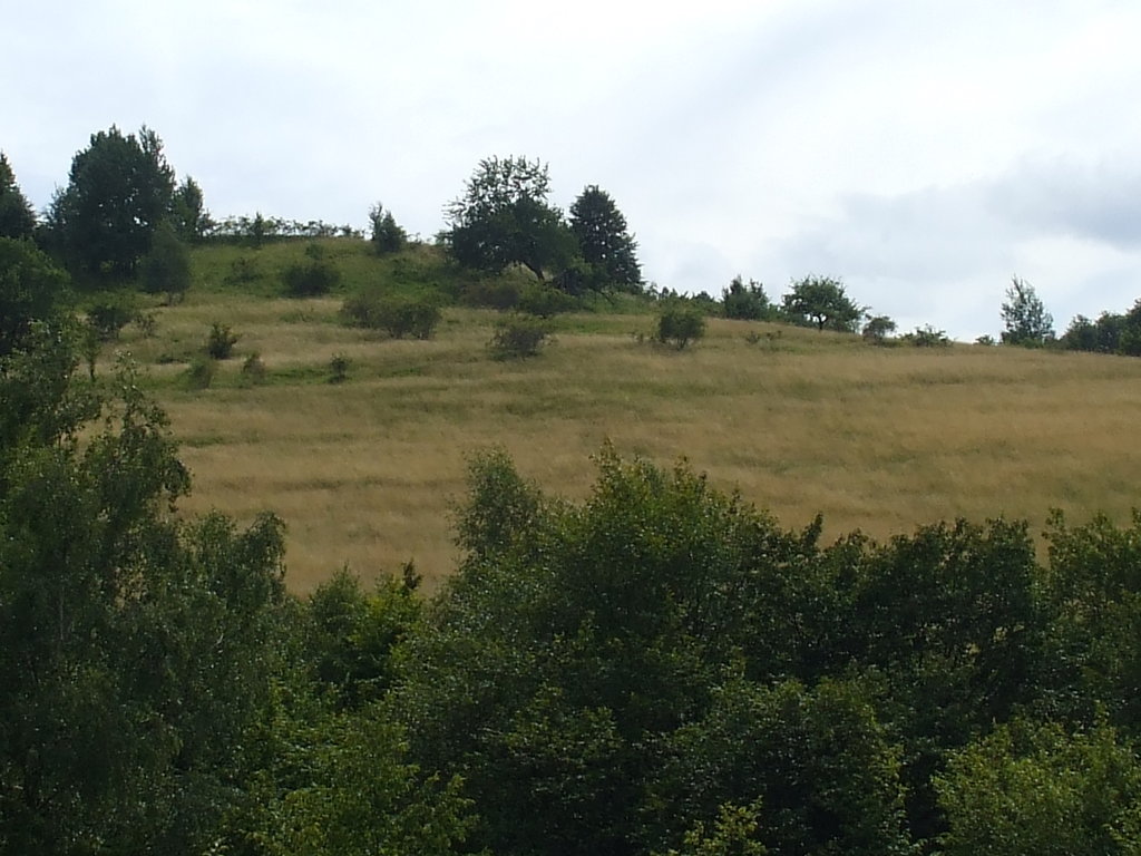 panoráma III