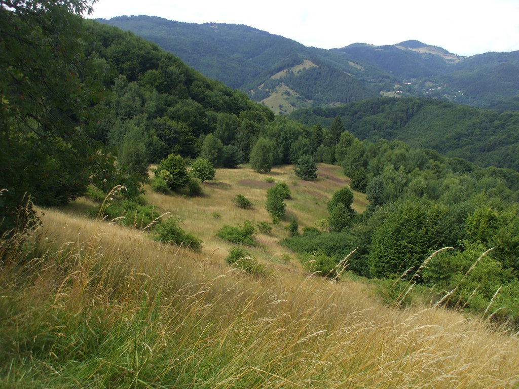 panoráma II