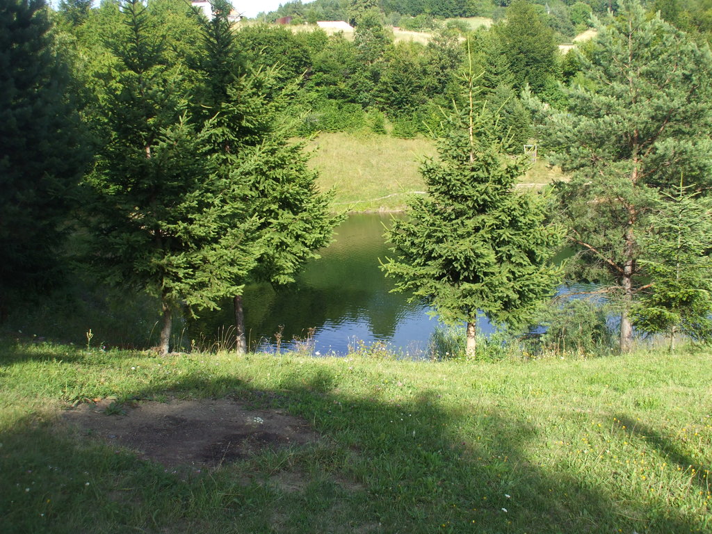 panoráma I