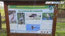 Rozhľadňa rybníky Perín-Chým  - Bod záujmu
