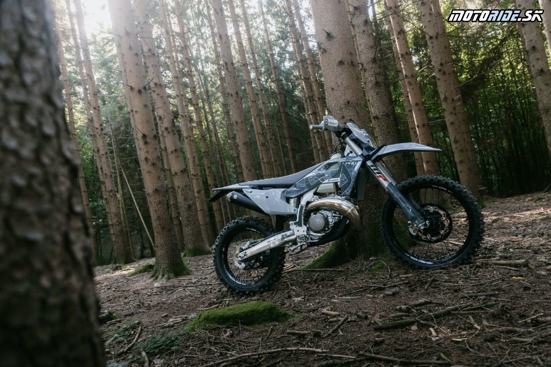 TE 300 Pro 2026 Static