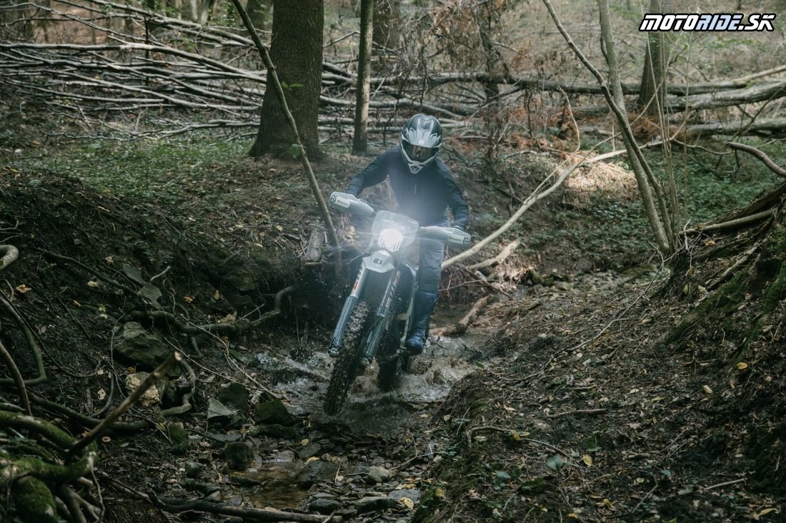 FE 350 Pro 2026 Action