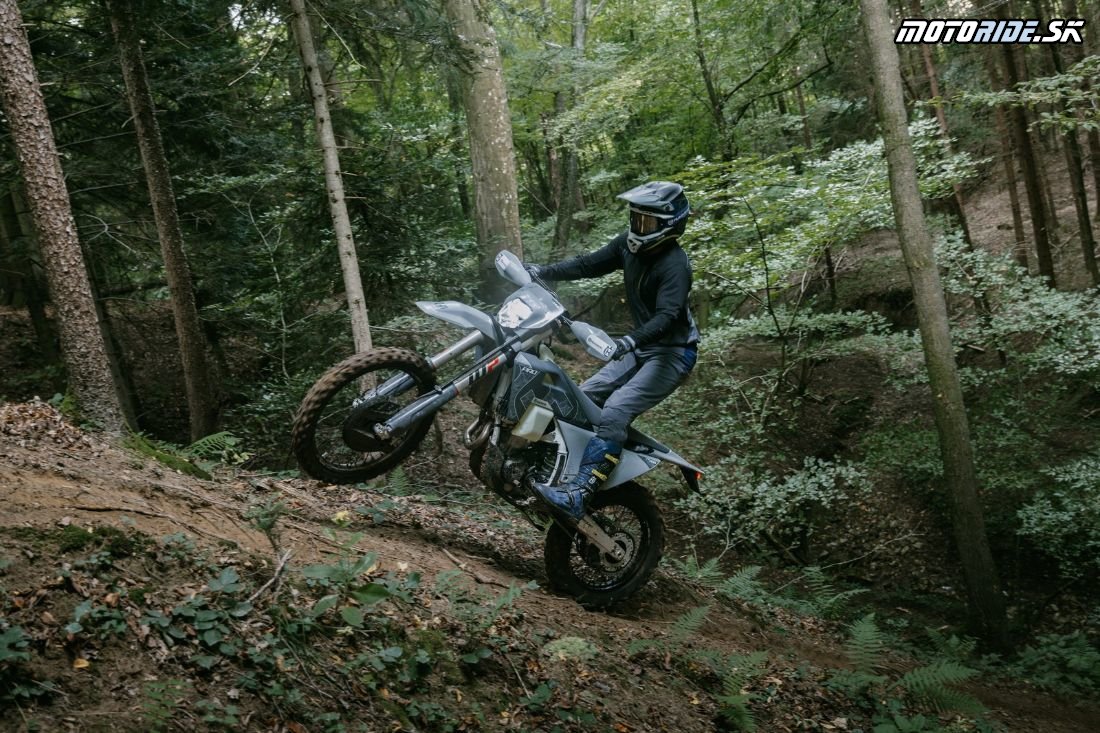 FE 350 Pro 2026 Action