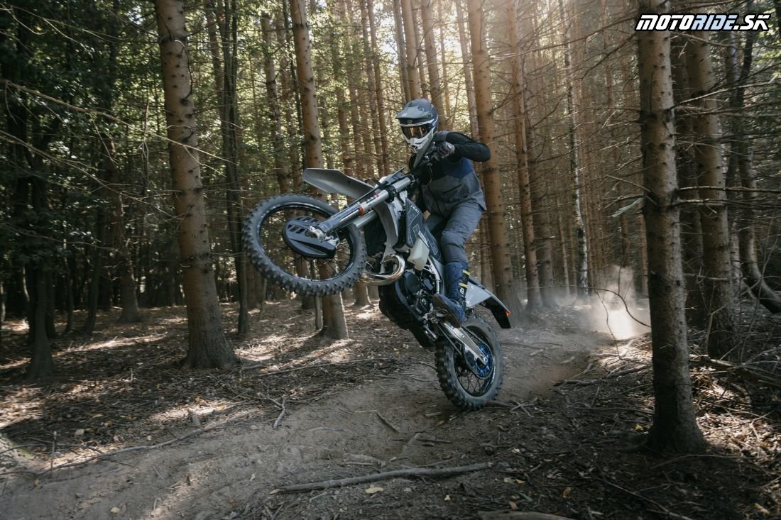 TE 300 Pro 2026 Action