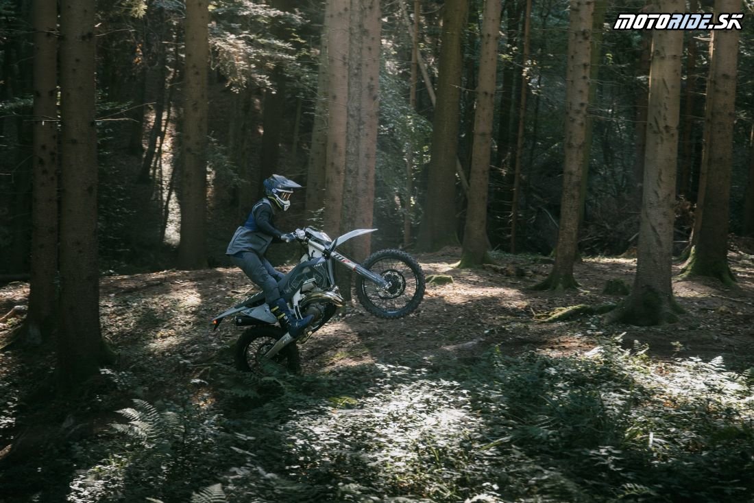 TE 300 Pro 2026 Action