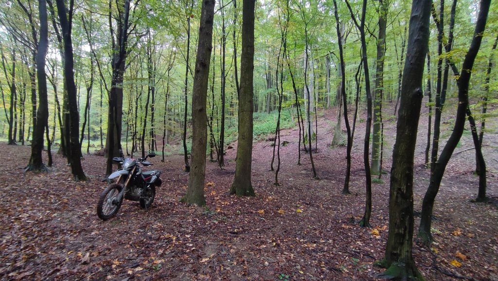 11. Tu môžeš opatrne trénovať slalom. Pár desiatok metrov je diaľnica a množstvo odpadkov od privilegovanej príťaže spoločnosti.