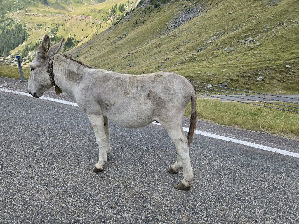 Prechod cez Fagaraš - Transfăgărăşan 7C, Rumunsko - Bod záujmu