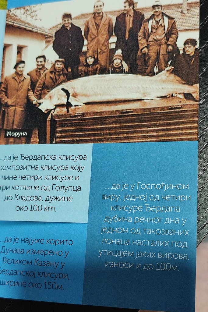 7. Úlovky na Dunaji, pokiaľ neboli hrádze. 7. Úlovky na Dunaji, pokiaľ neboli hrádze.