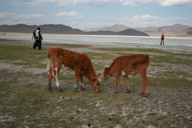 Mongolsko prvý deň - Slané jazero, v pravo Francúz, vľavo Šišo a Maroš