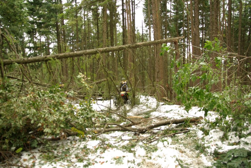 Can-am adventure Romania 2009 - predieranie sa lesom