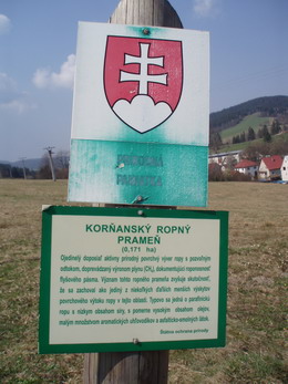 Ropný PrameĽ v Korni, Slovensko