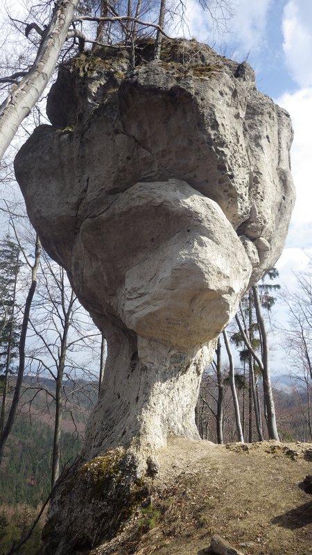 Skalný budzogáň, Rajecké Teplice, Slovensko - Bod záujmu