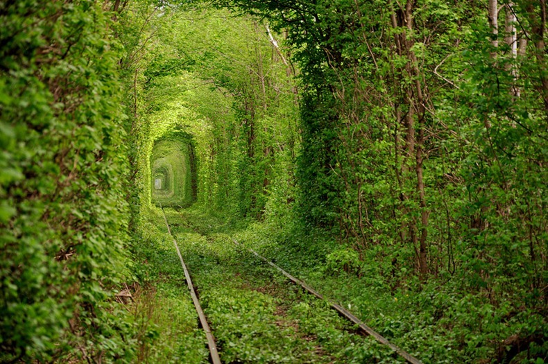 Tunel lásky - Kleven, Ukrajina - Bod záujmu