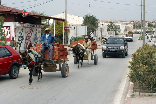 Malé saharské dobrodružstvo - Tunis 2006