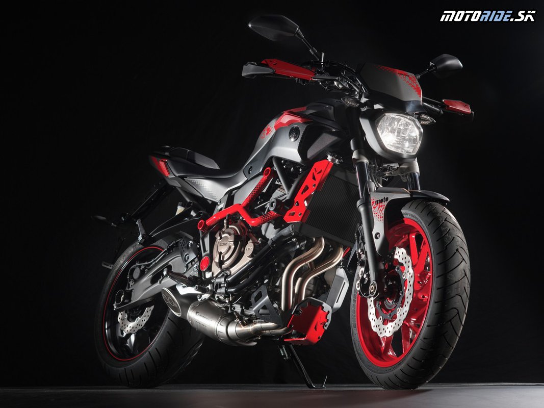 Yamaha MT-07 Moto Cage 2015