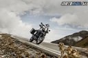 Yamaha XT660Z Tenere Race Blu 2015