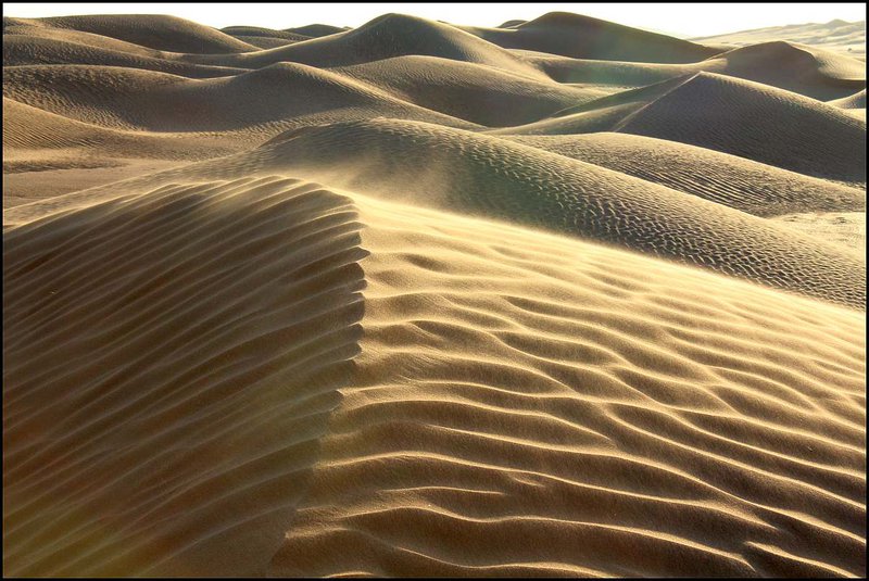 Tieto malé duny sú zrejme pohyblivé. Tie obrovské, kde snáď budeme zajtra, stoja už roky bez pohnutia. Nerozumiem, prečo to tak je.