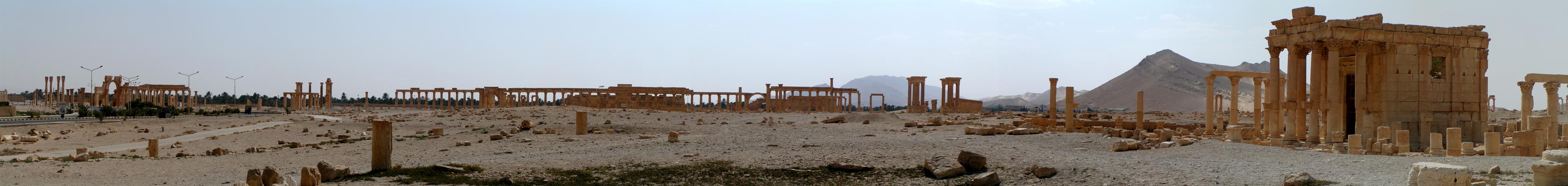 Panoráma Palmyra