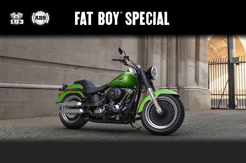 Harley-Davidson Softail Fat Boy Special 2015