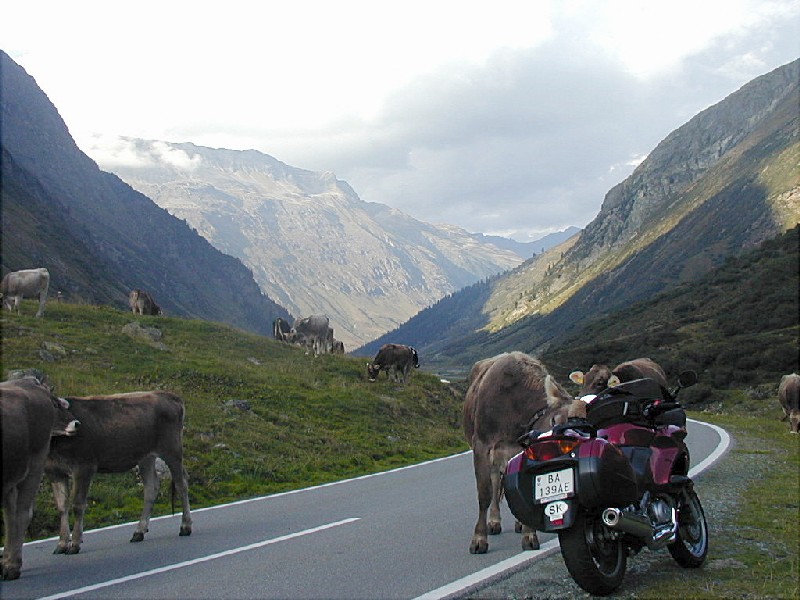 foto15. Silvretta – Hochalpenstrasse (2032m). Zjazd po východnej strane. Keď kravu svrbí za uchom, pomôže späťák.