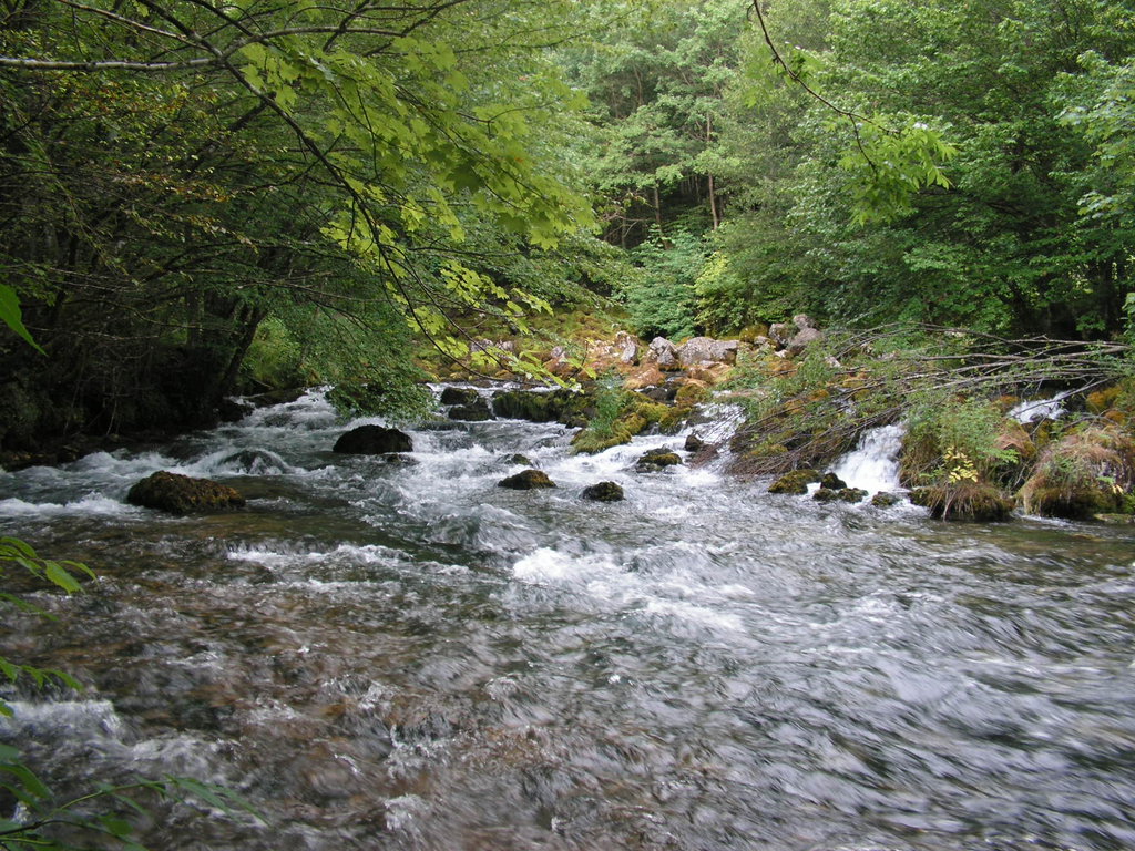 pramene rieky Pliva, Bosna a Hercegovina - Bod záujmu